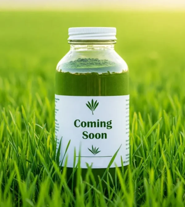 Wheatgrass (গমঘাস পাতার রস)